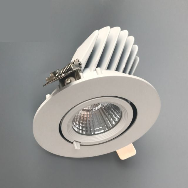 Classical Ceiling Down Light Adjust Wall Washer Spot Lights for Hotel - image 1